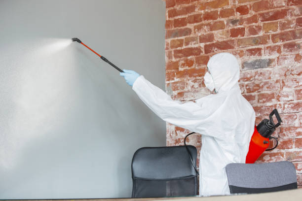 Best Real Estate Mold Inspection  in Pilot Rock, OR