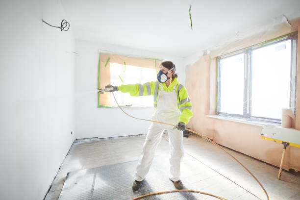 Professional Mold Removal in Pilot Rock, OR