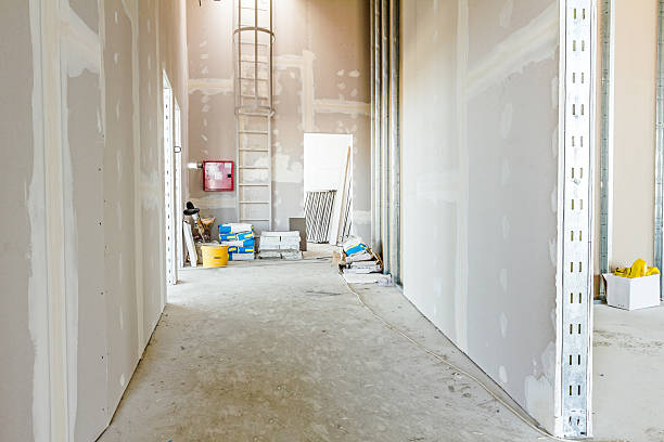 Best Mold-Related Health Consultation  in Pilot Rock, OR